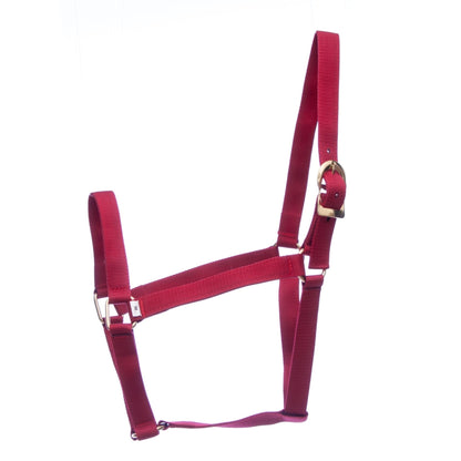 Jeffers Turnout Nylon Horse Halters, 2-Ply, 1"